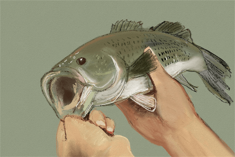 Fishing gear