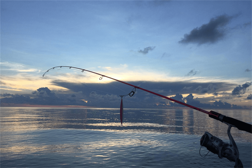 Controversial Bait Debate Live vs Artificial in Spring Waters 