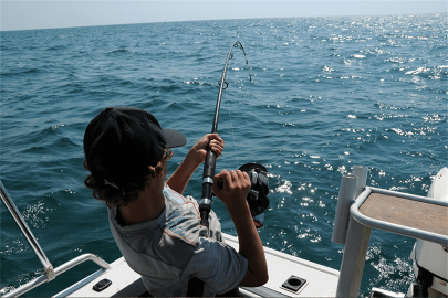 Early Bird Specials Book Guided Danish Fishing Tours Now & Save 20%